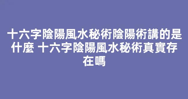 十六字陰陽風水秘術陰陽術講的是什麼 十六字陰陽風水秘術真實存在嗎